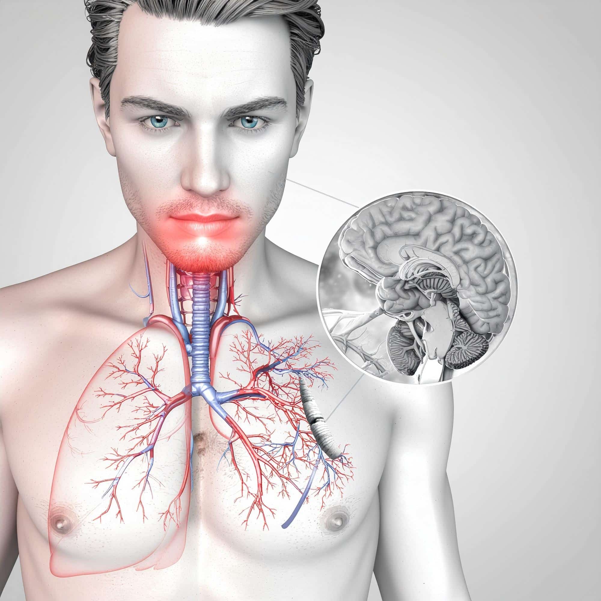 Tag gegen Schlaganfall 1 Firefly Schlaganfall medizinisch visualisiert 929944 1