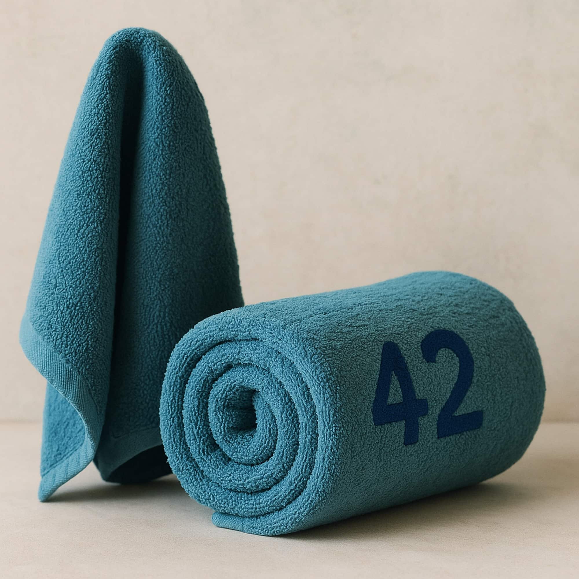 Towel Day – Handtuchtag