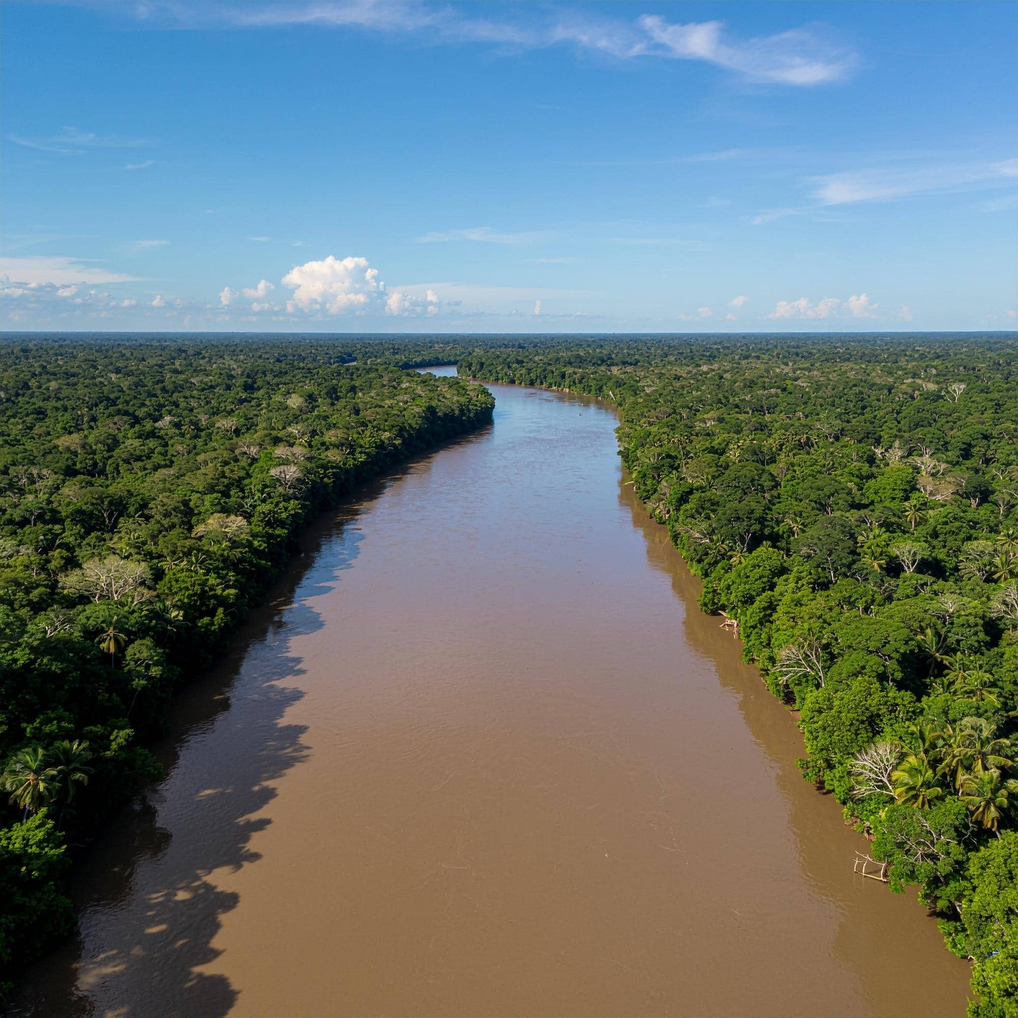 Internationaler Tag der Flüsse 1 Firefly Fluss Amazonas 27115 1