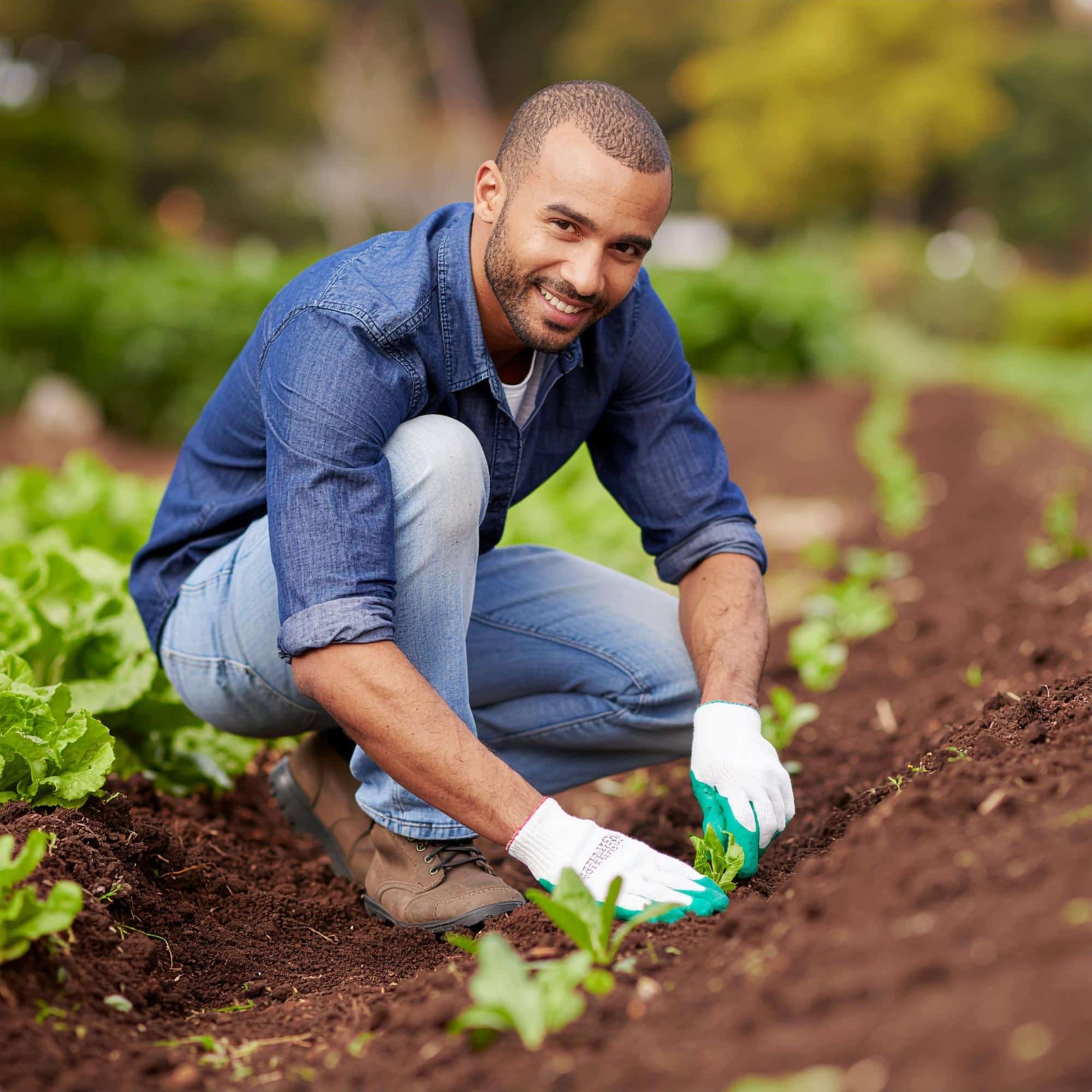 Jäte-deinen-Garten-Tag 1 Firefly Garten unkraut Jaeten Mann 243427 1